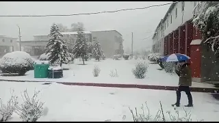 Heavy snow fall in dagshai|#himachalpradesh