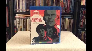 Animal Factory BLU RAY UNBOXING + Review - Arrow Video