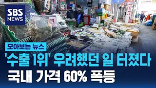 '수출 1위' 우려했던 일 터졌다… 국내 가격 60% 폭등 / SBS / 모아보는 뉴스