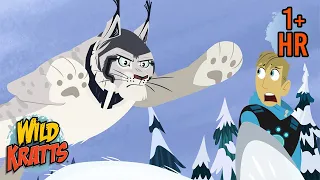 EVERYTHING IS FROZEN! 🥶 Winter Animals | Full Episodes | Adventures with the Kratts | 9 Story Kids