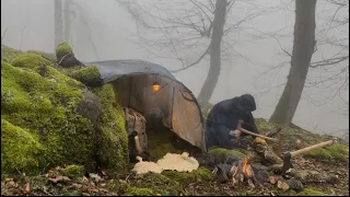 Tarp Camping in FOGGY FOREST | SURVIVING Freezing COLD | ASMR