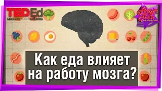 🧠 Как питание влияет на работу мозга? #TED-Ed на русском