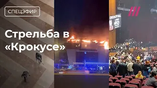 Стрельба в «Крокус Сити Холле» в Москве