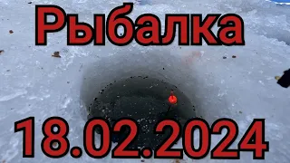 Рыбалка на поплавок 17 февраля 2024 г.Взгляни в Руки Своему Страху,и поймай эту рыбину!