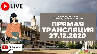 27.12.2020. Прямая трансляция с ЦМИ. Завершение бегового сезона 2020. Ч.2