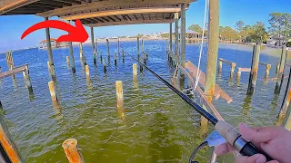 Fishing these Backyard Piers and Inshore Creeks for Dinner...[Epic Results]