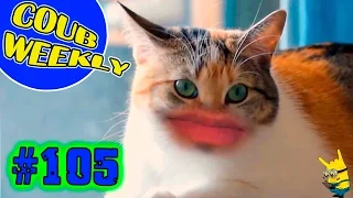 ▶Coub Weekly # 105 Лучшие коубы недели 😜(Подборка COUB приколов 2017)