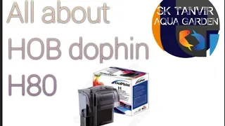 All about  hob  dophin h80