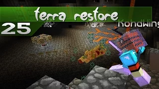 Terra Restore || 25 || Things go boom