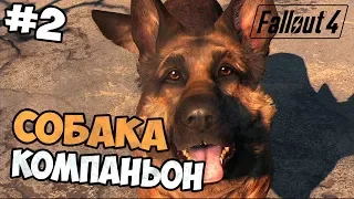 Fallout 4 прохождение на русском - СОБАКА КОМПАНЬОН - Часть 2