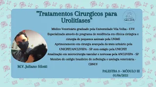 Tratamentos cirúrgicos para urolitíases - Juliano Silotti