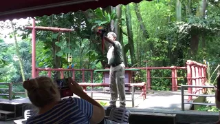 Jurong Bird Park Singapore - Bird show 2