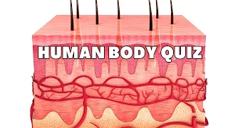 Human Body Quiz - Do you know these facts?