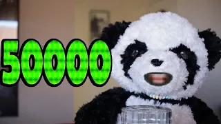 Pandrew Counts to 50,000! Very Long Video with Numbers (100000 / 2)