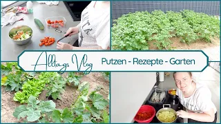 Alltags Vlog: putzen / kochen / Kleinigkeiten im Haushalt / entspannter Alltag