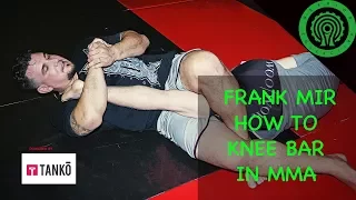 Frank Mir - How I put the Knee Bar on Brock Lesnar at UFC 81 MMA Tutorial