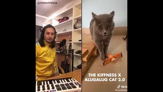 El gato rapero