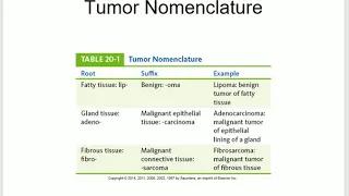 Pathophysiology lectures Dr. Saudi  Chapter 20 Neoplasms and Cancer BK SU2018