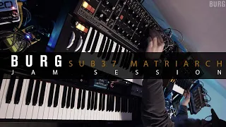 Moog Subsequent 37 and Matriarch - Jam session