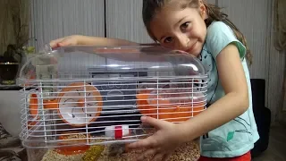 İşte  Evimizin Yeni Üyeleri Hamster larımız | Eğlenceli Çocuk Videosu