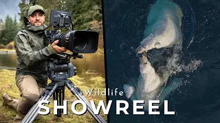 7 Tips To Make Your Wildlife Showreel