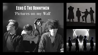 Echo & The Bunnymen : Pictures on My Wall (Peel Session)