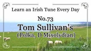 073 Tom Sullivan's (Polka, D Mixolydian) Learn an Irish Tune Everyday