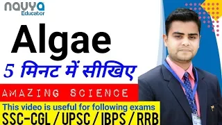 Algae  | Science | class 8 | CBSE | Navya Educator