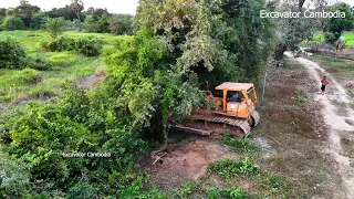 Amazing Heavy Old Heavy Bulldozer Working Breakdown Tree Making New Road With Small Dozer And Truck