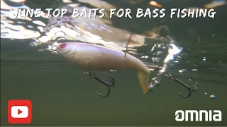 Top Baits for Bass Fishing in June!