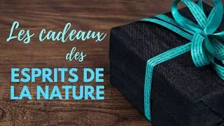 Quels sont les cadeaux que peuvent offrir les esprits de la nature ?