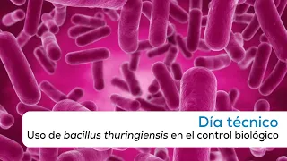 Uso de bacillus thuringiensis en el control biológico