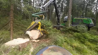 John Deere 1270G & MS 462 auf Kärferholz - Jagd [ 2 : # ]