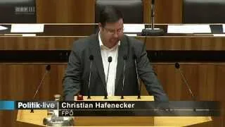 Christian Hafenecker - Landesverteidigung - Debatte zum Budget 2014, 2015