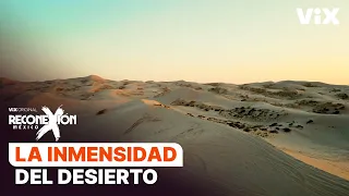 Desierto de Chihuahua: Conocimos las dunas de Samalayuca | Reconexión | ViX