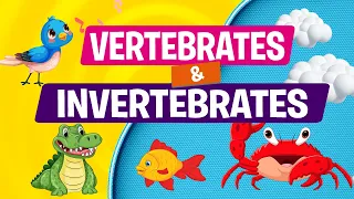 The Animal Kingdom | Invertebrates and Vertebrates Animals | Educational Videos for Kids | Science
