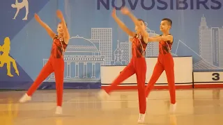 Federation Cup of the Novosibirsk Region in Aerobic Gymnastics March 15-16, 2024.