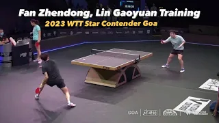 Fan Zhendong, Lin Gaoyuan & Lin Shidong Training | 2023 WTT Star Contender Goa