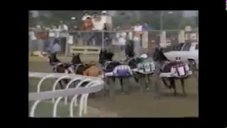 1988 Delaware County Fair B J SCOOT Little Brown Jug Final Michel Lachance