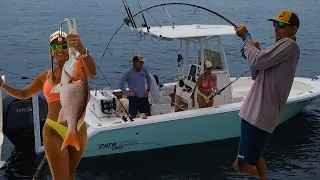 Our surprise catch while fishing offshore (Catch, Clean & Cook)