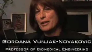 Gordana Vunjak-Novakovic, Professor, Department of Biomedical Engineering, Columbia University, 2008