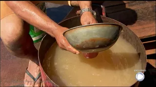 Veja como funciona a coleta do ouro no norte brasileiro