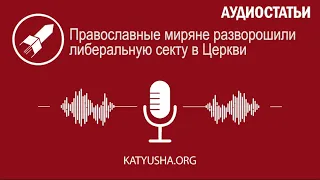 Православные миряне разворошили либеральную секту в Церкви