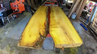 Finally I Have Struck Gold On The Sawmill! Must See Saw Log,