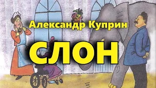 Слон. Александр Куприн. Аудиорассказ