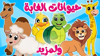 حيوانات الغابة  و المزيد من أغاني الأطفال الرائعة من قناة ألوان