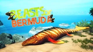 FUNNY MOMENTS | BEASTS OF BERMUDA