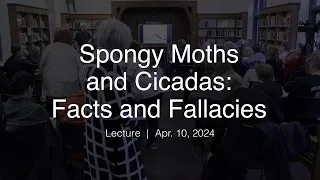 Olmsted Society Lecture: Spongy Moths and Cicadas: Facts and Fallacies