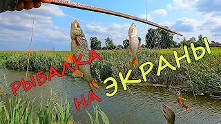 РЫБАЛКА НА ЭКРАНЫ!!! На эту снасть мы рыбу словим всегда!