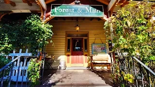 Forest & Main: are these the world's best wild saisons?  | The Craft Beer Channel